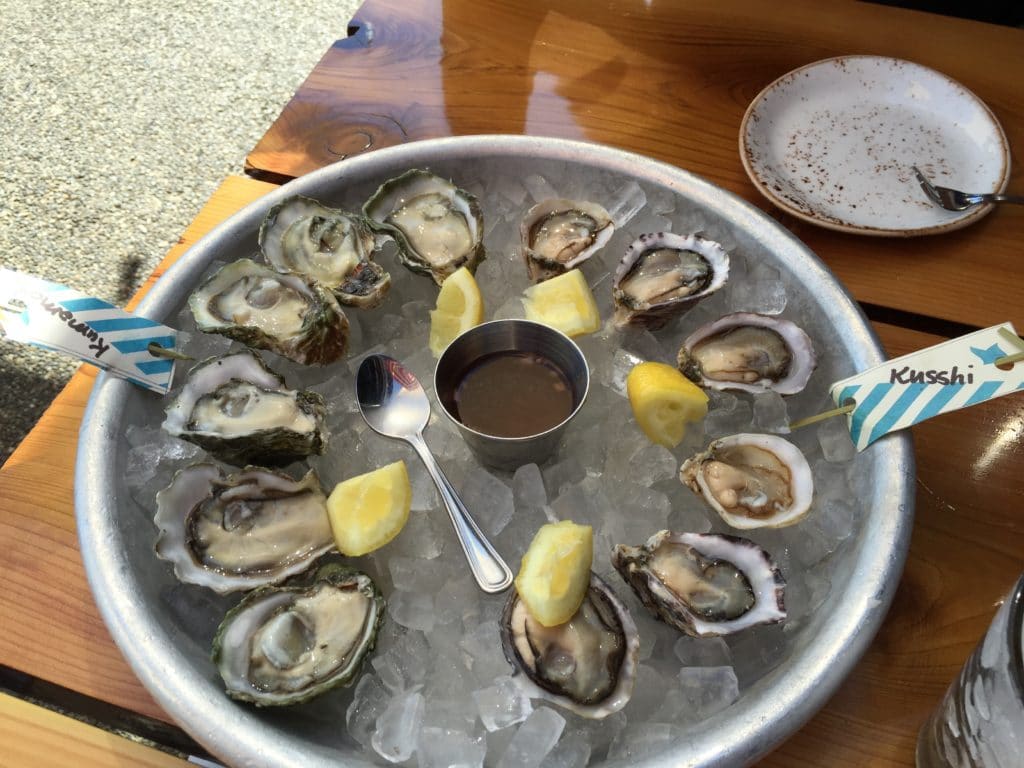 Oysters