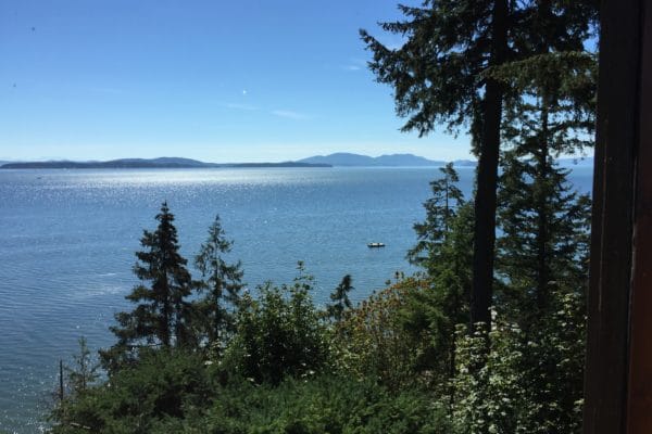Resized Image