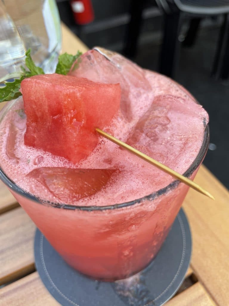 The Watermelon Drink