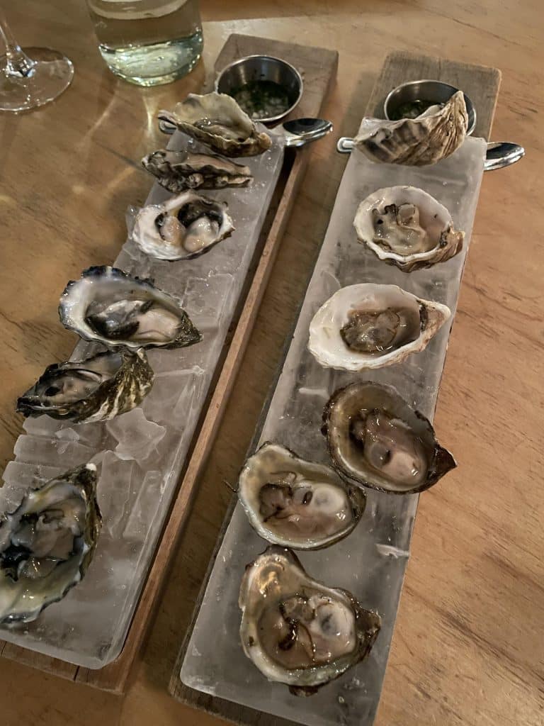 Oyster Selection