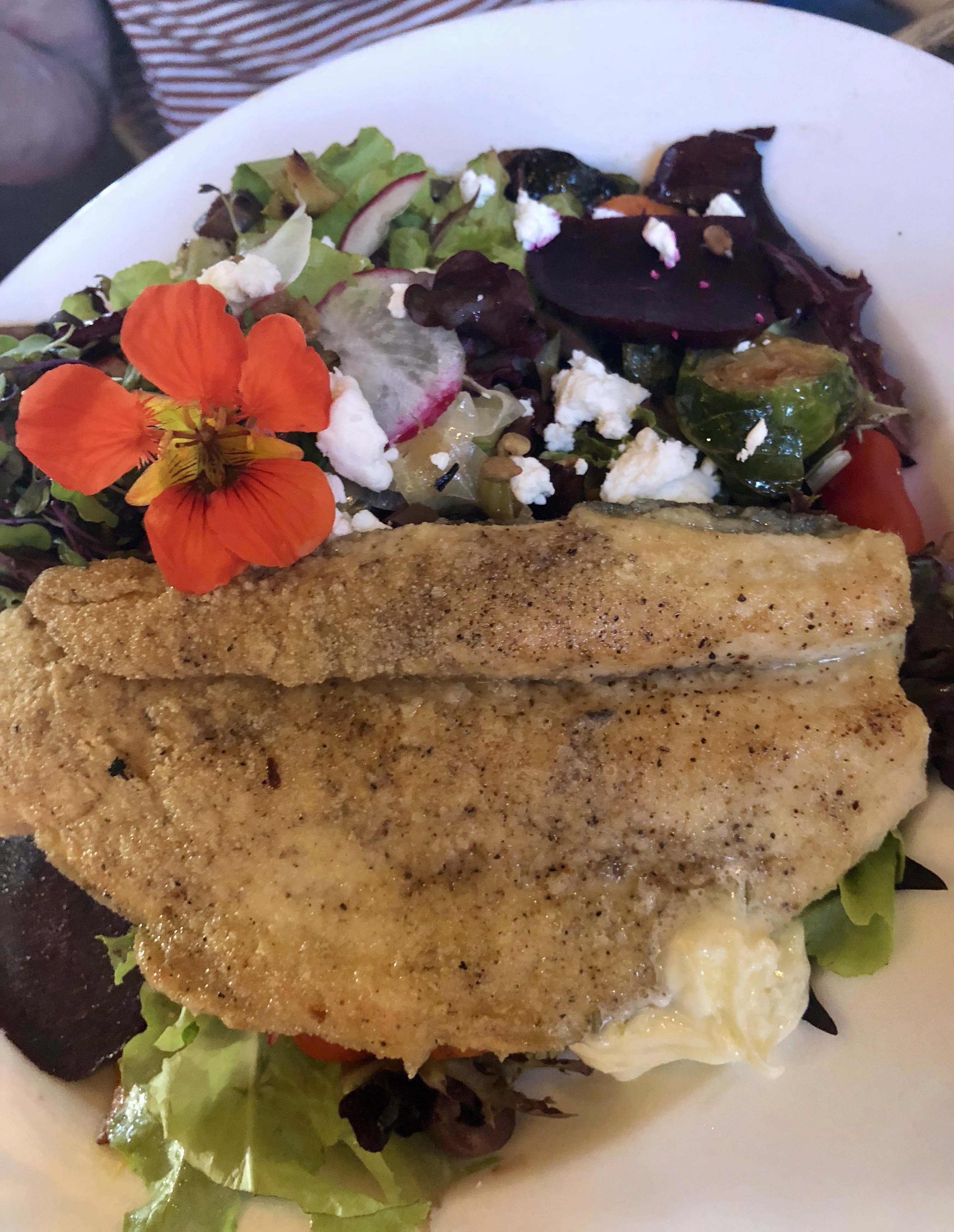 Gallatin Valley Salad with Trout