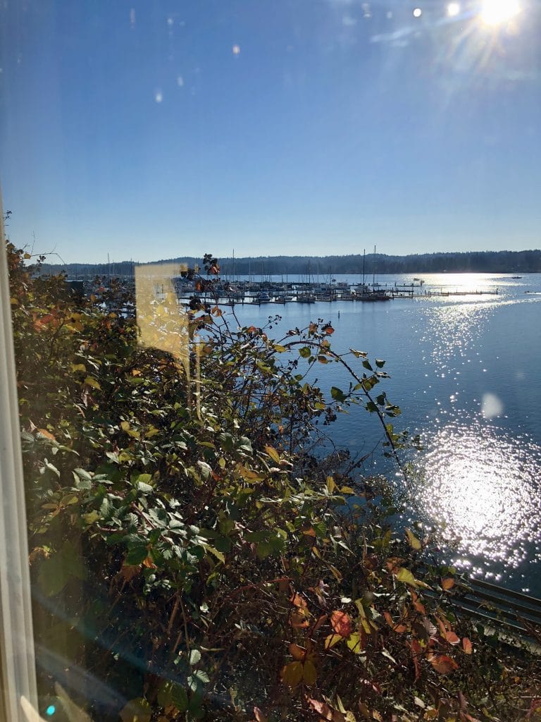 The View