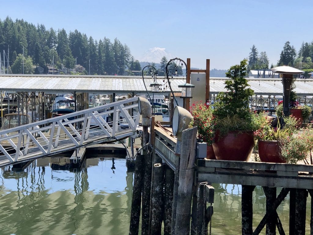 View of Rainier from the Deck