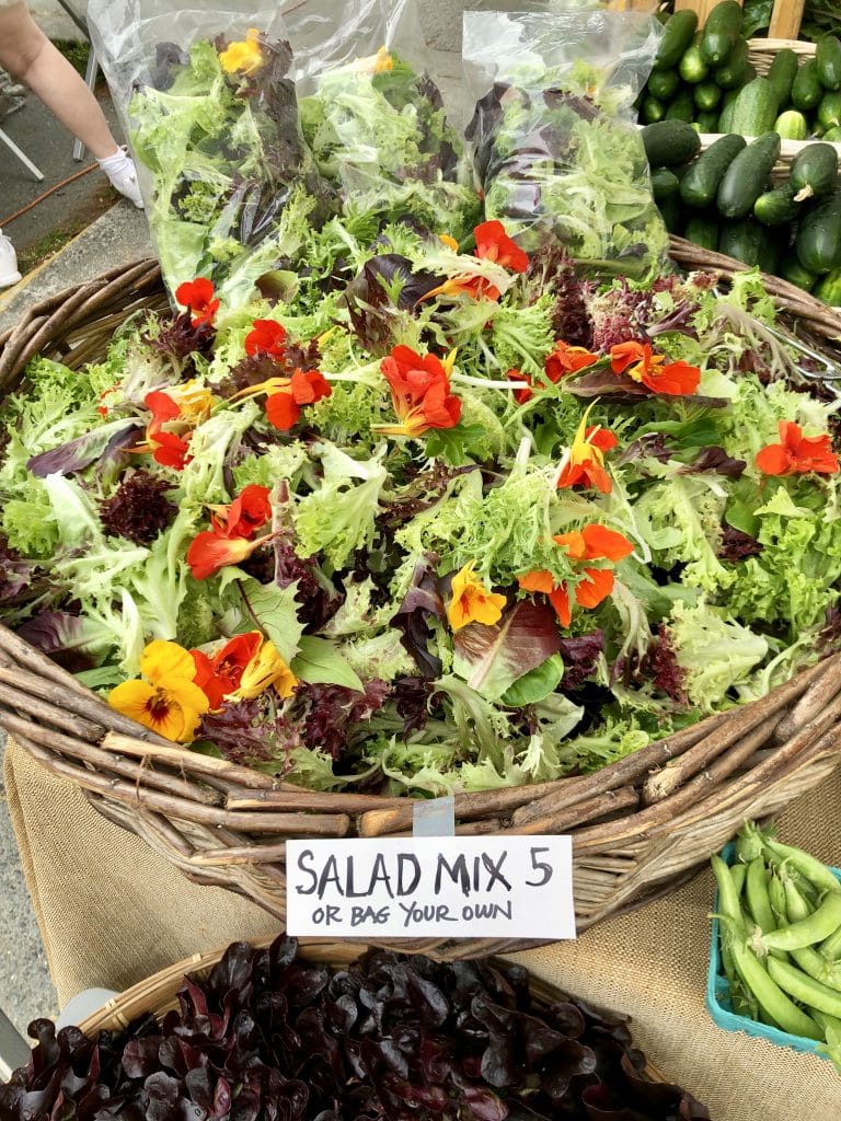 Mixed Salad