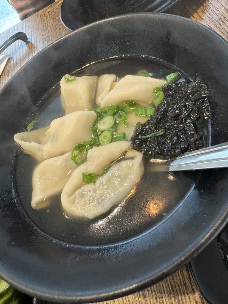 Chicken and Vegetable Wontons in Chicken Broth