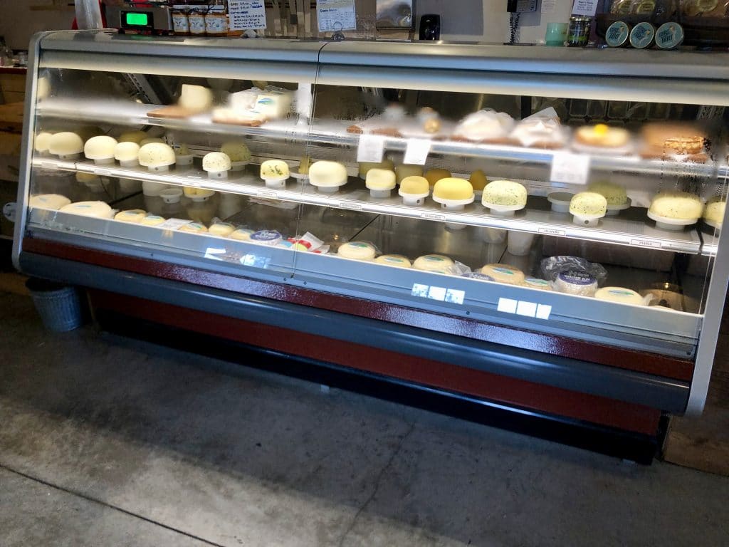 Cheese