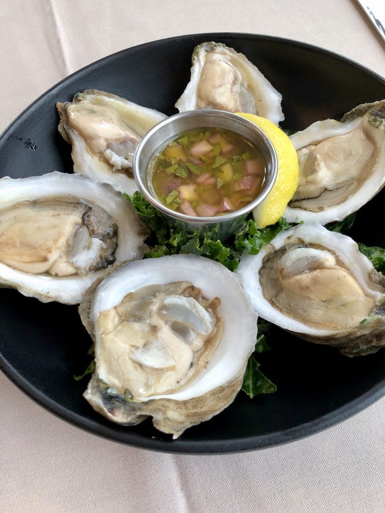 Oysters Oysters