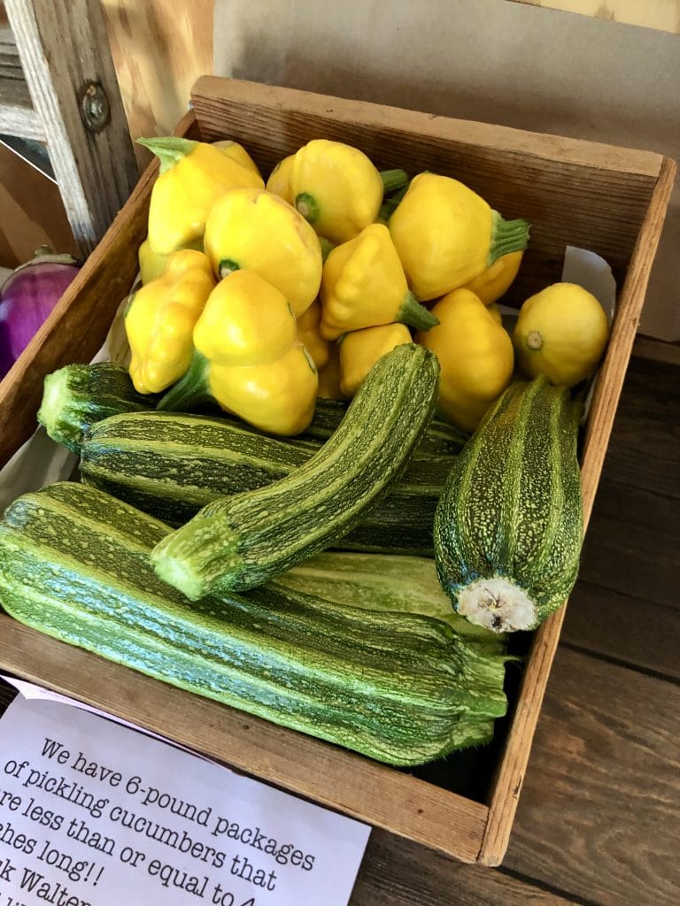 Blanchard Mountain Farm