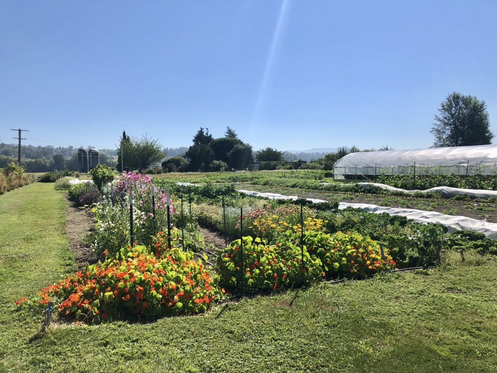 Blanchard Mountain Farm