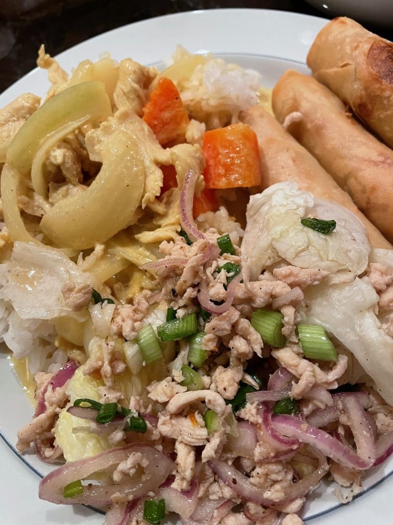 Yellow Curry, Fried Veggie Rolls and Larb Gai